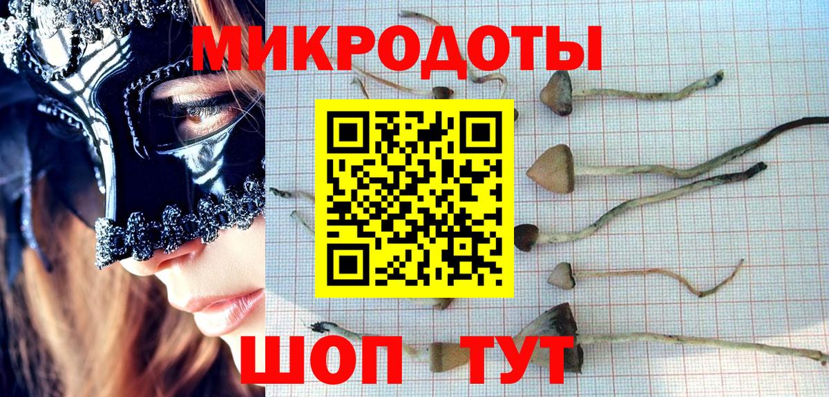 Сегежа  Галлюциногенные грибы прущие грибы  Галлюциногенные грибы мицелий  Вход с VPN 