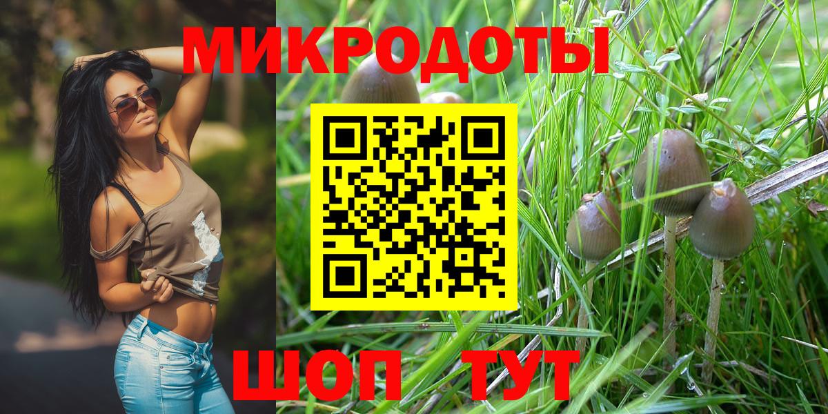 Галлюциногенные грибы Psilocybine cubensis Сегежа
