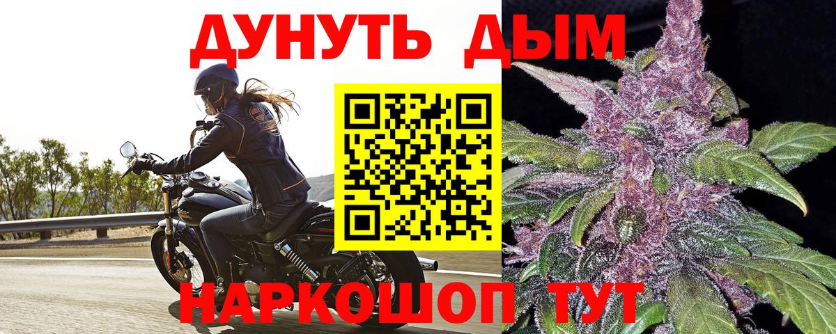МАРИХУАНА конопля Сегежа